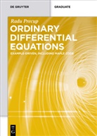 Radu Precup - Ordinary Differential Equations