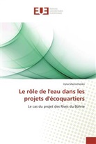Iryna Maznichenko, Maznichenko-i - Le role de leau dans les projets