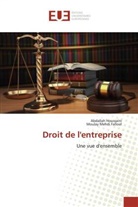 Moulay Mehdi Falloul, Abdalla Houssaini, Abdallah Houssaini, Houssaini-a - Droit de lentreprise