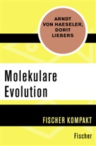 Arndt Haeseler, Arndt von Haeseler, Dorit Liebers, Arndt von Haeseler - Molekulare Evolution