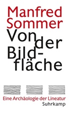 Manfred Sommer - Von der Bildfläche