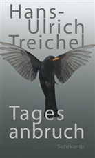 Hans-Ulrich Treichel - Tagesanbruch