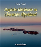 Fritz Fenzl, Klaus G. Förg - Magische Glücksorte im Chiemsee Alpenland