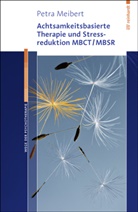 Jörg Meibert, Petr Meibert, Petra Meibert - Achtsamkeitsbasierte Therapie und Stressreduktion MBCT/MBSR