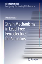 Matias Acosta - Strain Mechanisms in Lead-Free Ferroelectrics for Actuators