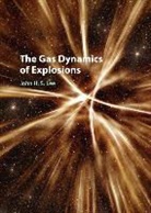 John H. S. Lee, John H. S. (Mcgill University Lee, Lee John H. S. - Gas Dynamics of Explosions