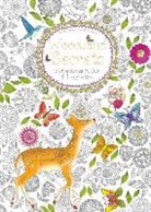 Daisy Seal - Woodland Secrets (Colouring Book)