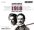 Alfred Döblin, Judith Hofmann, Mathias Lange, Wolf-Dietrich Sprenger, Werner Wölbern, Norber Schaeffer... - November 1918. Eine deutsche Revolution, 3 Audio-CDs (Audio book)