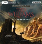 Tad Williams, David Nathan - Shadowmarch - Die Dämmerung, 4 MP3-CDs (Hörbuch)