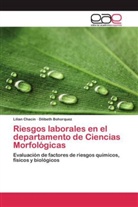Dilibeth Bohorquez, Lilia Chacin, Lilian Chacin - Riesgos laborales en el departamento de Ciencias Morfológicas