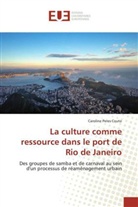 Couto-c, Caroline Peres Couto - La culture comme ressource dans