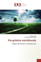 Salaheddine Doumandji, Ahme Taibi, Ahmed Taibi, Taibi-a - Pie-grieche meridionale