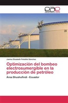 Janina Elizabeth Peñafiel Sánchez - Optimización del bombeo electrosumergible en la producción de petróleo