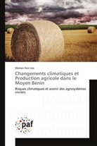 Maman-Sani Issa, Issa-m - Changements climatiques et