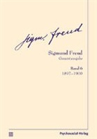 Sigmund Freud, Christfried Tögel - Gesamtausgabe (SFG), Band 6