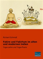 Richard Schmidt - Fakire und Fakirtum im alten und modernen Indien