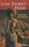 Julius Lester - Long Journey Home