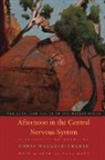 Chris Wallace-Crabbe, Paul Kane - Afternoon in the Central Nervous System: A Selection Of Poems
