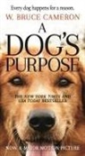 W Bruce Cameron, W. Bruce Cameron - A Dog's Purpose