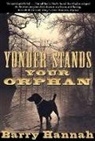Barry Hannah, Hannah Barry - Yonder Stands Your Orphan