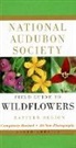 NATIONAL AUDUBON SOCIETY, National Audubon Society&gt;, William A. Niering, Nancy C. Olmstead, John W. Thieret - National Audubon Society Field Guide to North American Wildflowers--E