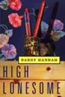 Barry Hannah, Hannah Barry - High Lonesome