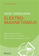 Wilhelm Kulisch - Wiley-Schnellkurs Elektromagnetismus