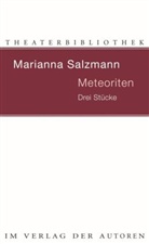 Marianna Salzmann, Sasha Marianna Salzmann - Meteoriten