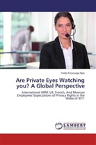 Yvette Essounga-Njan - Are Private Eyes Watching you? A Global Perspective