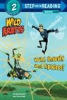 Chris Kratt, Martin Kratt, Random House, Random House - Wild Kratts