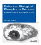 Laurens Welles, Laurens (Unesco-Ihe Institute for Water Ed Welles, Laurens (UNESCO-IHE Institute for Water Education Welles, Welles Laurens - Enhanced Biological Phosphorus Removal