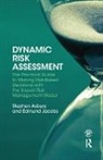 Stephen Asbury, Stephen (Managing Director of Corporate Ri Asbury, Stephen Jacobs Asbury, Asbury Stephen, Edmund Jacobs, Jacobs Edmund - Dynamic Risk Assessment