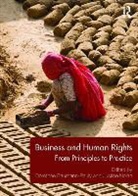 Dorothee Baumann-Pauly, Dorothée Baumann-Pauly, Nolan Justine, Justine Nolan, Justine Baumann-Pauly Nolan, Nolan Justine... - Business and Human Rights