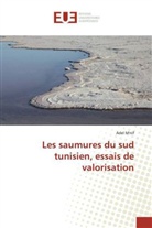 Adel M'nif, Mnif-a - Les saumures du sud tunisien,