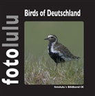 Fotolulu - Birds of Deutschland