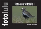 Fotolulu - fotolulu wildlife I