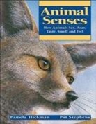 Pamela Hickman, Pamela/ Stephens Hickman, Pat Stephens - Animal Senses