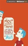 Avi, Todd (NRT) Avi/ Haberkorn, Todd Haberkorn - The Most Important Thing (Audio book)