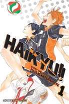 Daniel Clowes, Haruichi Furudate, Roberta Gregory, Haruichi Furudate - Haikyu v.01