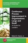 Jr. Robert E. Hamm, Robert E. Hamm - Continuous Process Improvement in Organizations Large and Small
