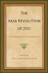 Said Amir Arjomand, Sand Amir (EDT) Arjomand, Said Amir Arjomand, Saïd Amir Arjomand - Arab Revolution of 2011
