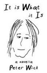 Peter Wick - It Is What It Is