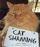 Pedro Andrade, Pedro de Andrade - Cat Shaming