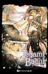 Hiroyuki Asada - Tegamibachi 17, Chiko, la nueva empleada