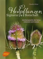 Claudia Ritter - Heilpflanzen. Signatur und Botschaft