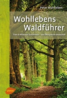 Peter Wohlleben - Wohllebens Waldführer