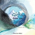 Camila Abbot - Gifts from the Storm