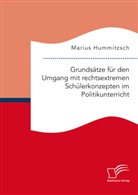 Marius Hummitzsch - Grundsätze für den Umgang mit rechtsextremen Schülerkonzepten im Politikunterricht