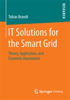 Tobias Brandt - IT Solutions for the Smart Grid