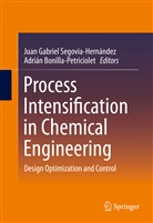 Bonilla-Petriciole, Adrián Bonilla-Petriciolet, Jua Gabriel Segovia-Hernández, Juan Gabriel Segovia-Hernández, Juan Gabriel Segovia-Hernández - Process Intensification in Chemical Engineering